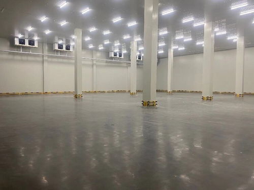 貨運(yùn)物流中的信譽(yù)與專業(yè)服務(wù) 化工品、冷鏈整車(chē)與零擔(dān)運(yùn)輸解析